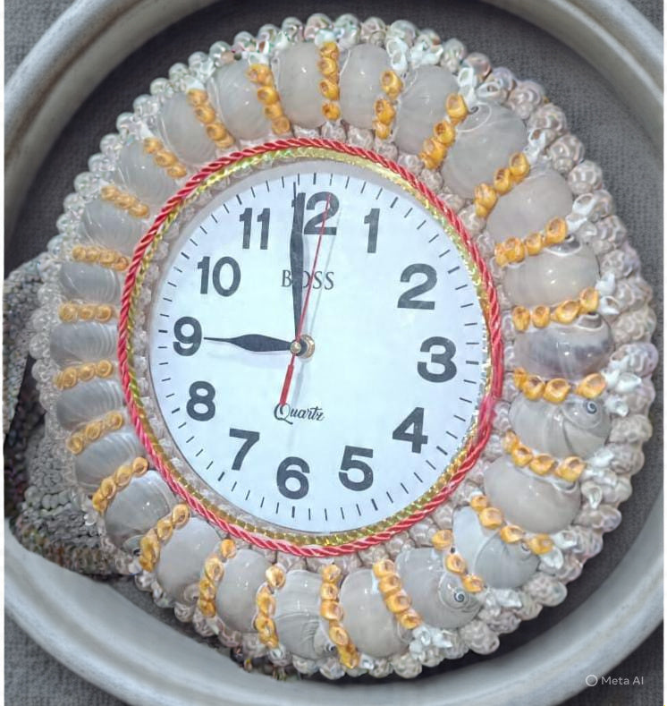 “Natural Shark Eye Shell Handmade Art Collection”