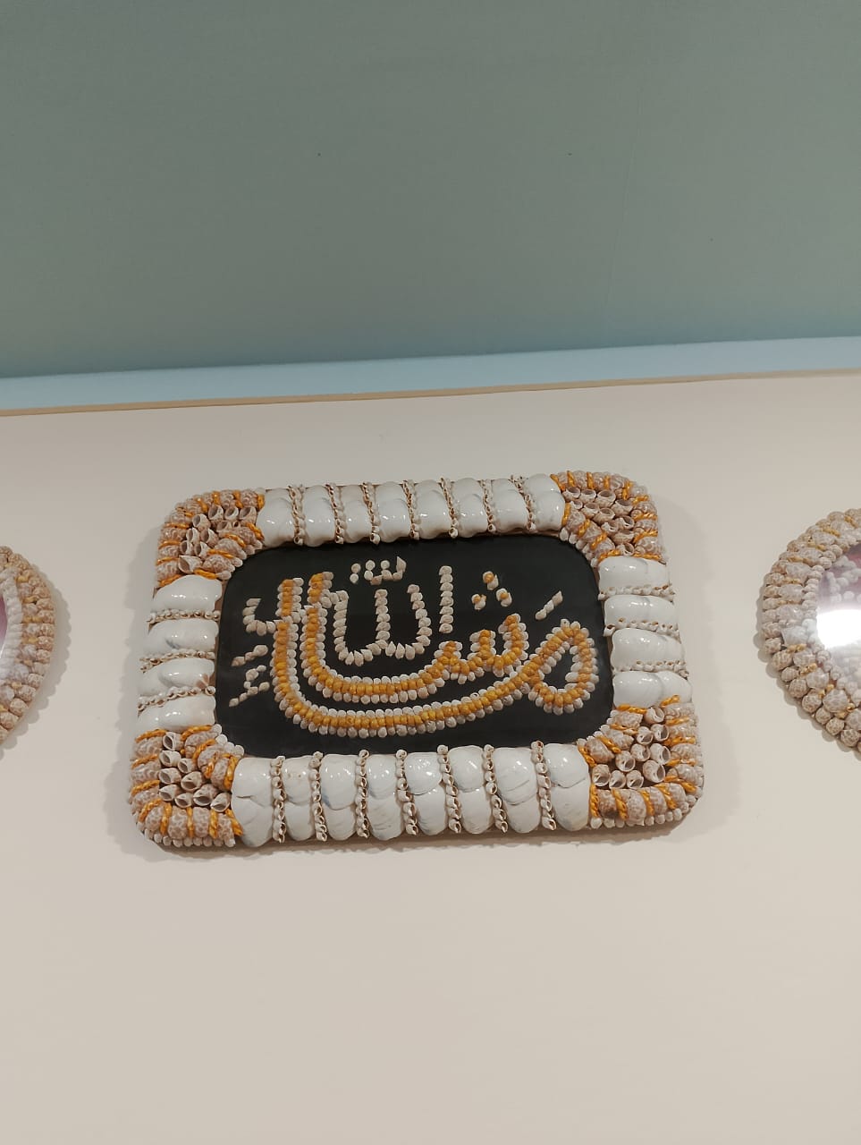 “Natural Shark Eye Shell Handmade Art Collection”