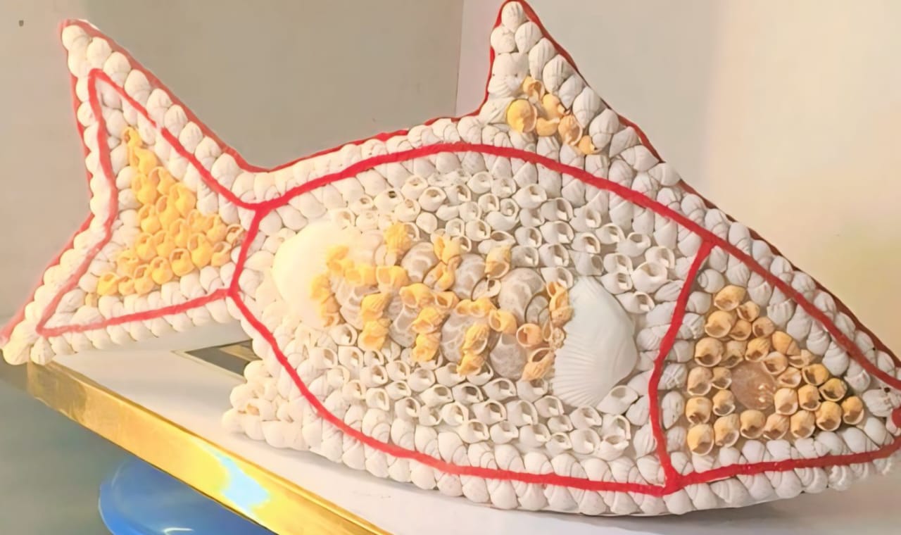 “Natural Shark Eye Shell Handmade Art Collection”