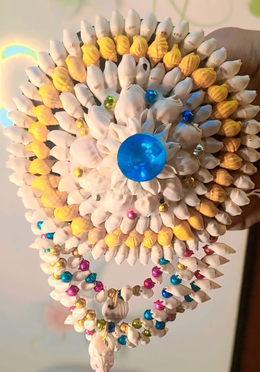 “Natural Shark Eye Shell Handmade Art Collection”