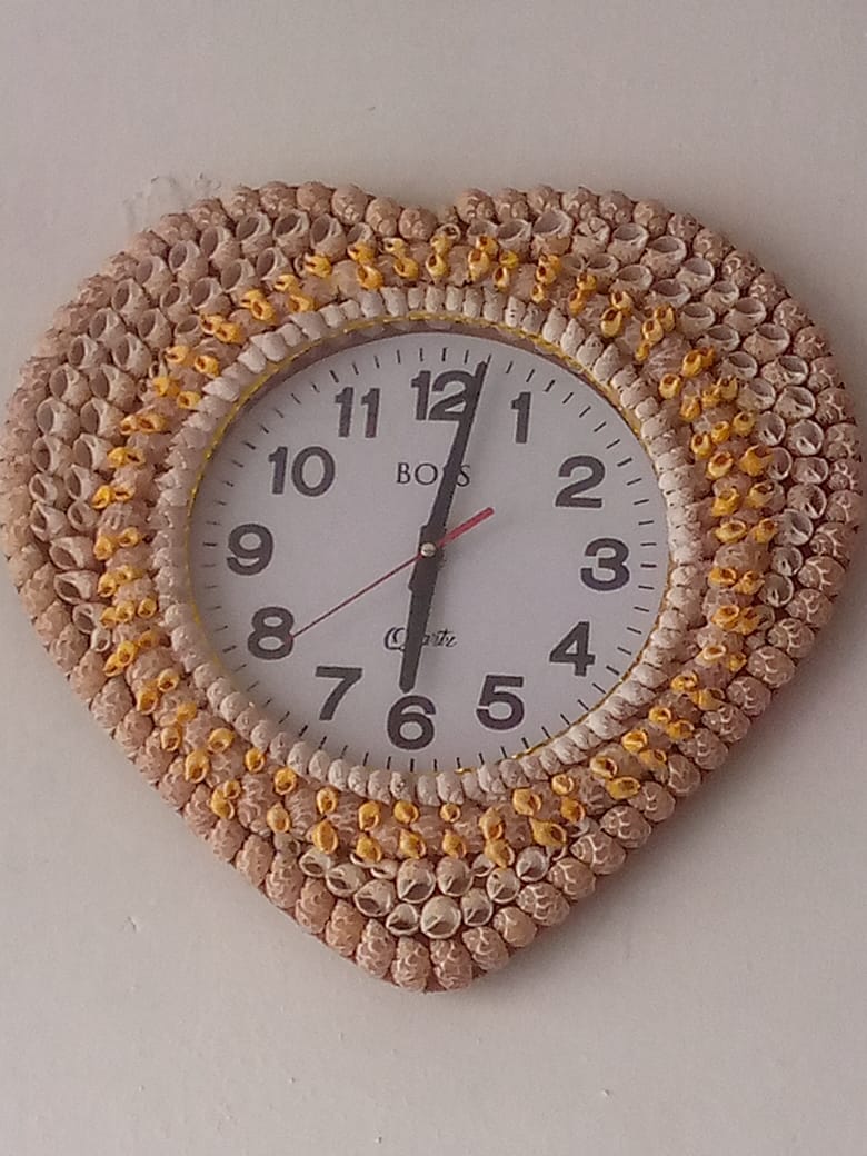 “Natural Shark Eye Shell Handmade Art Collection”