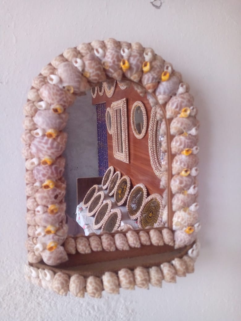 “Natural Shark Eye Shell Handmade Art Collection”