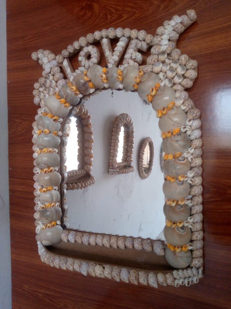 “Natural Shark Eye Shell Handmade Art Collection”